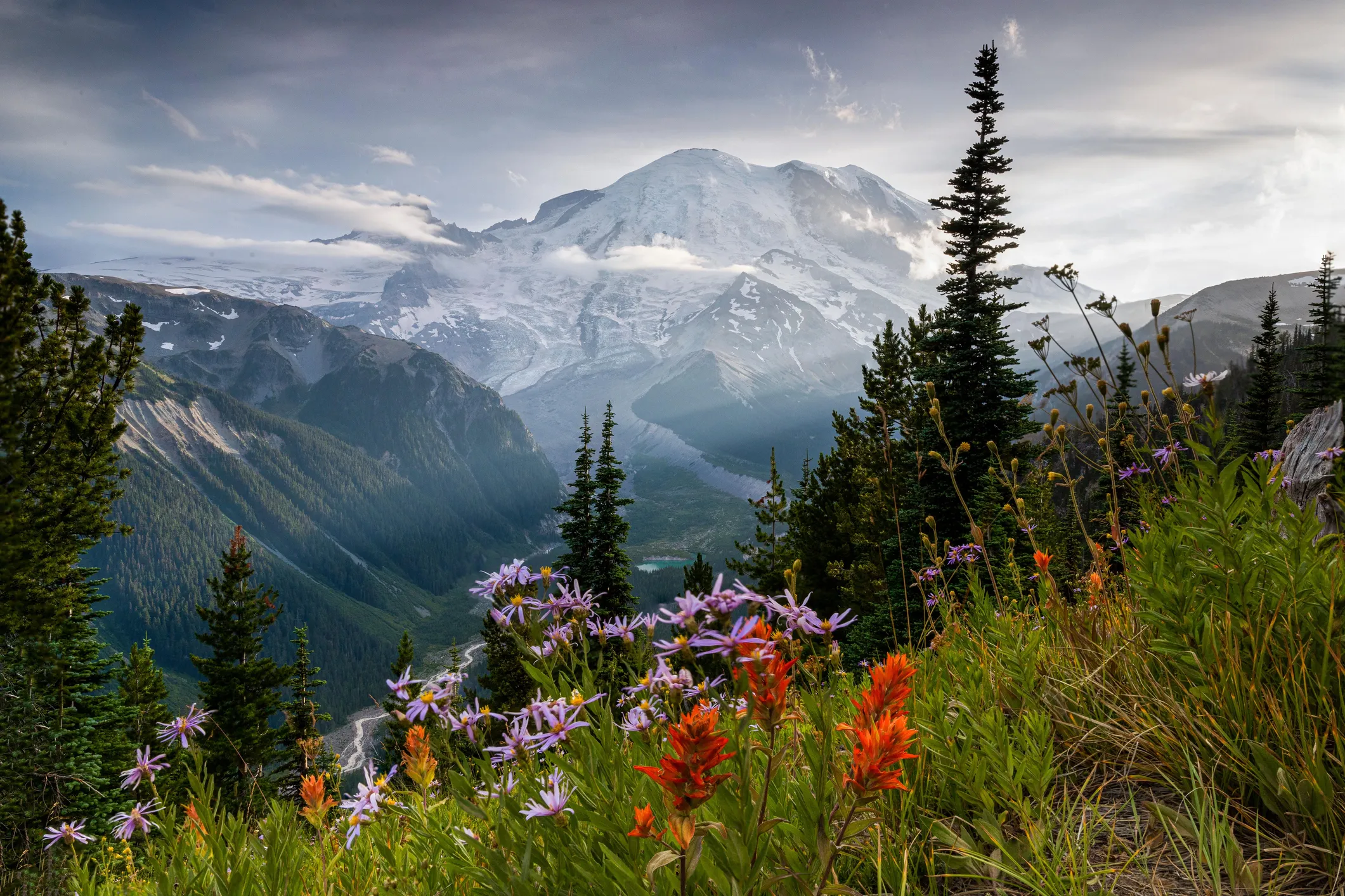 How to start a therapy practice in Washington